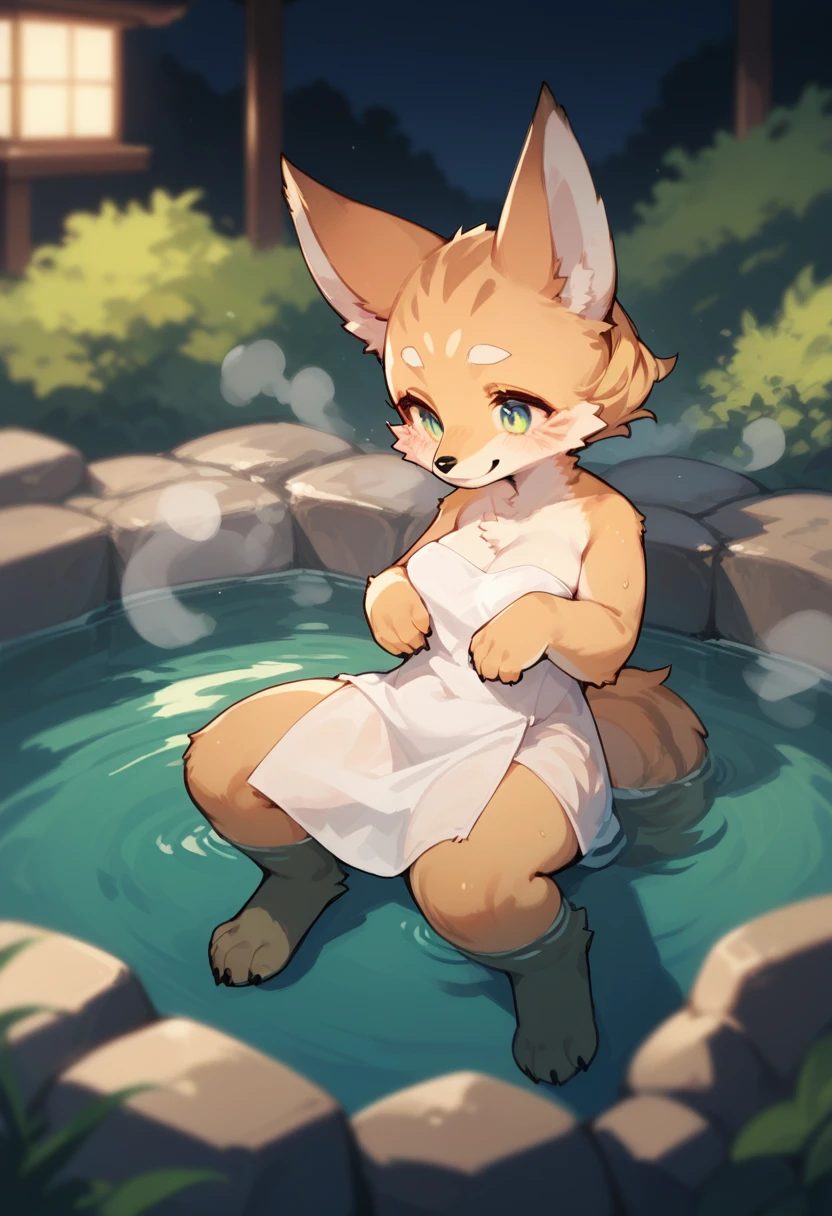 hot spring, vapor, Cinematic, Depth of written boundary, Mysterious and romantic atmosphere, Caustic Surfaces, Absurd, Perfect Anatomy(Very cute girl, kemono, Water Play)Natural appearance at birth, Volumetric lighting, Hairy body, smile, relax, Dramatic composition,Furry,kemono,Naked,Completely naked,Naked,