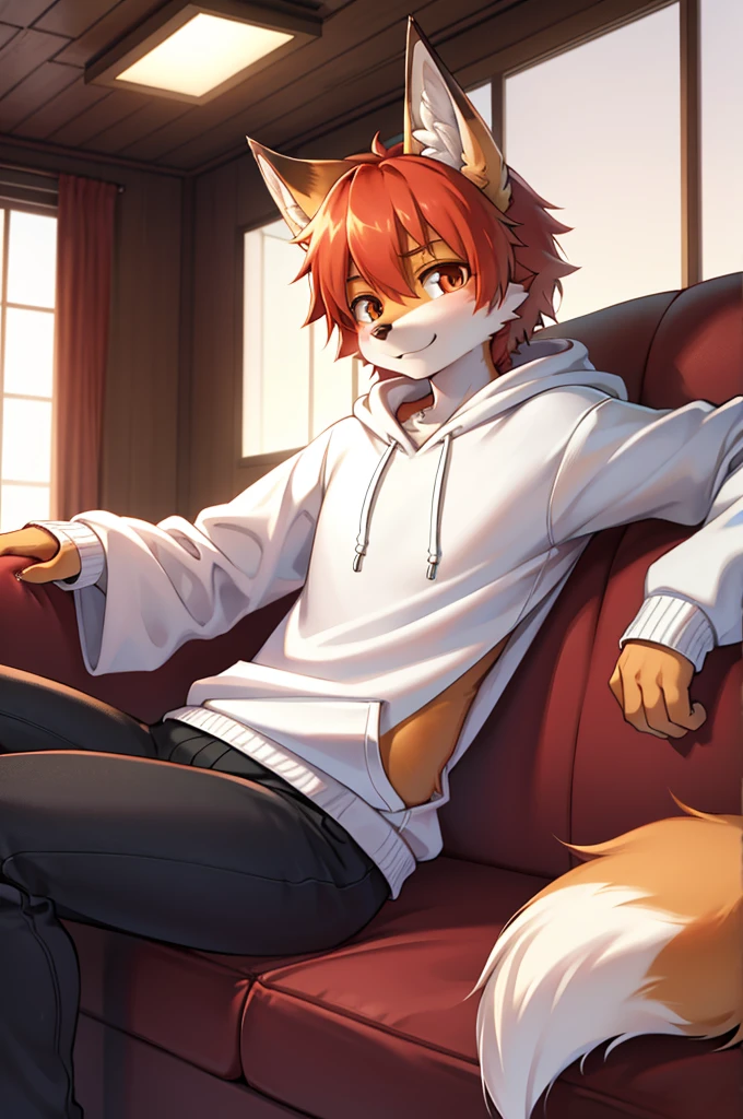 fox boy,Wearing a white T-shirt and hoodie,8k resolution,最high resolution,high resolution,Japan style private house,Watching TV on the sofa