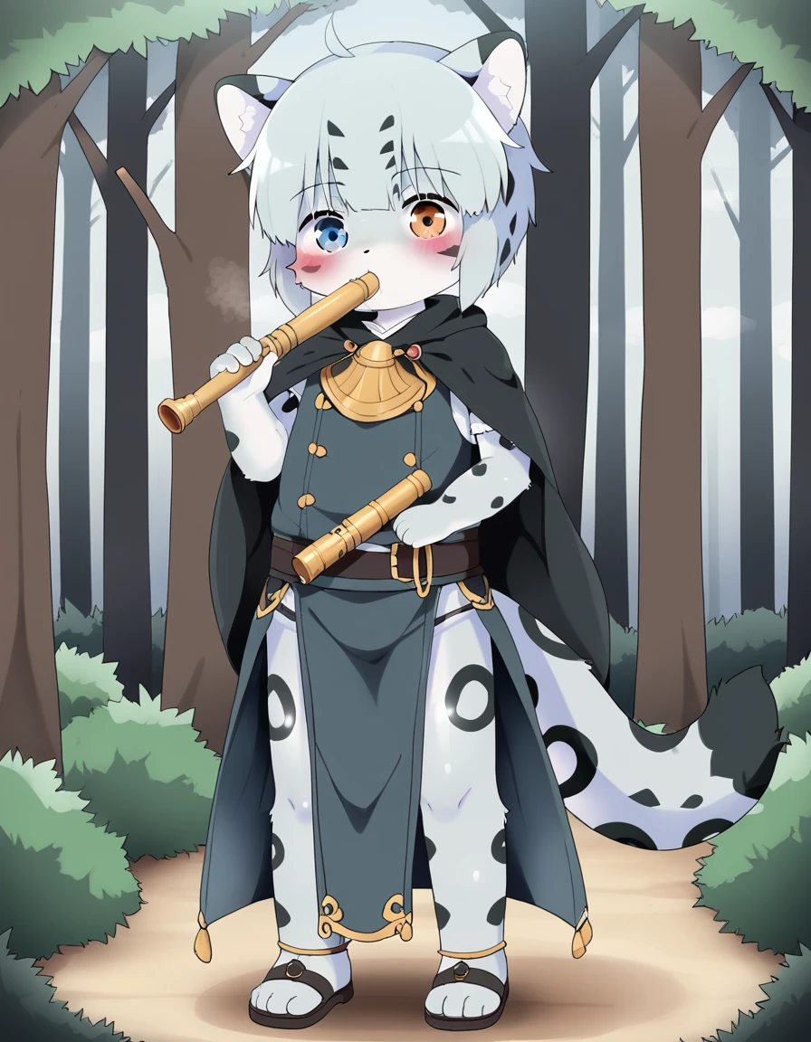 毛茸茸of, Fraction_of, fox, 独自of, furry , 毛茸茸of, Blue and white, Flute, Tail, 可爱of, 短of, Heterochromia, Cartoon, Flat Color, 简单of阴影, Full body portrait,Forest Background, 模糊of背景, Cub, male,Chivalrous Costume,