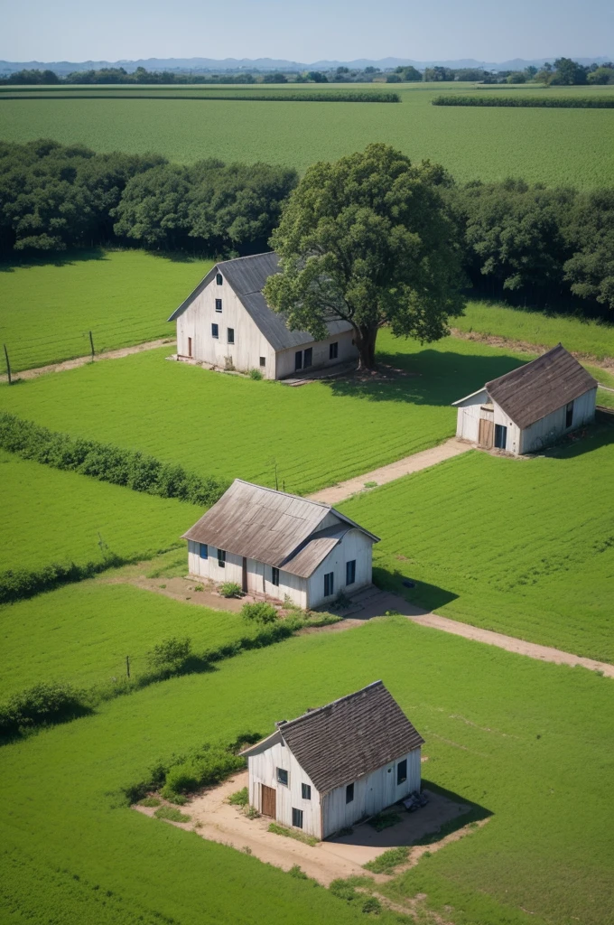 Poor house in the middle of the farm with tree on the side