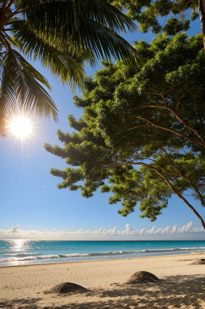 Ordinary beach big sun