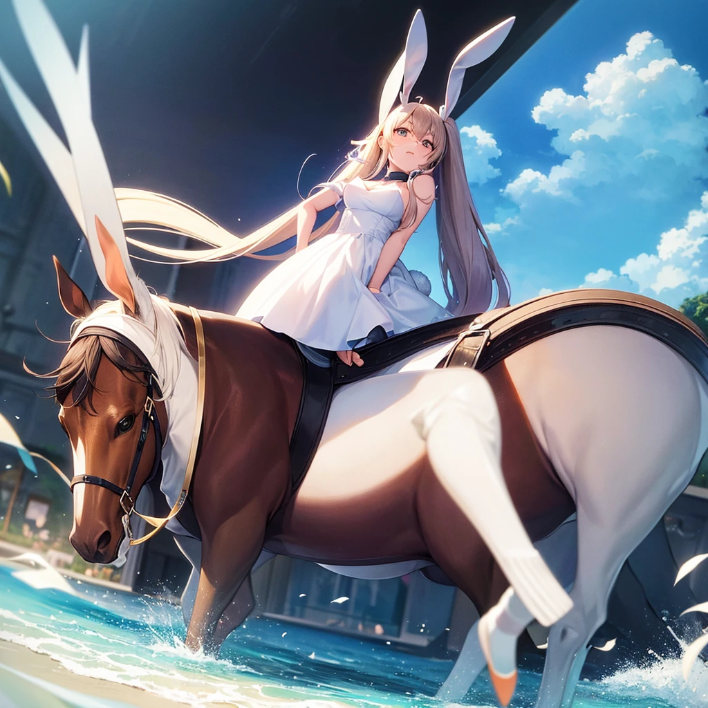 the rabbit the and the horse Cartoon picture