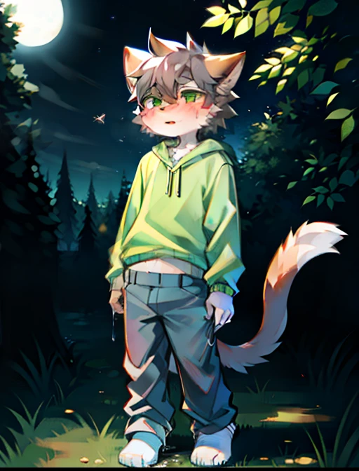 Furry,Furry cat boy,(Dark gray hair),(dark grey skin),Green eyes,Standing on a white blanket on the grass,(Wear short white socks),(Pee your pants),((Urine flow)),(pee stain),Urine pits,wet pants,Light blue pajamas,the night,solo person,high high quality, pee running down legs, pee puddle, blushing, holding crotch, wet pants