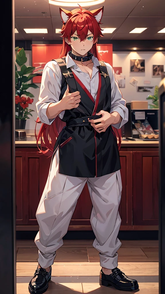 (Masterpiece), (Best Quality), ((Highly Detailed)) anime Boy with red hair and green eyes and cat ears with his hand on the glass, presses his hands against glass, presses his hands on the glass, looks shy, presses his hands on the screen, glass remains intact, wearing a collar, full body, niji 6, 4k, 8k, anime style --ar 9:18 --niji 6