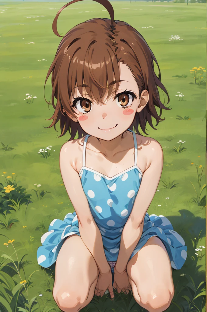 masterpiece, best quality, highres, aalo, short hair, ahoge, blush stickers, collarbone, polka dot dress, blue dress, sleeveless, , grass, filed,(nsfw),panties,smile,squatting