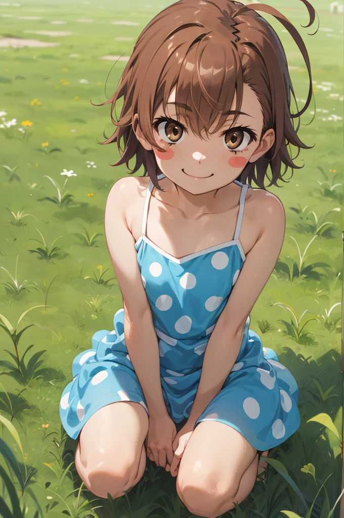 masterpiece, best quality, highres, aalo, short hair, ahoge, blush stickers, collarbone, polka dot dress, blue dress, sleeveless, , grass, filed,(nsfw),panties,smile,squatting