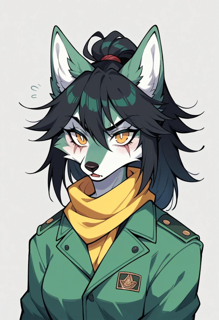 solo female,Furry,wolf,∆iden has long black hair, accessorized with a fluffy beige ushanka atop her head. She sports a green and yellow scarf, accompanied by an army green coat. A large scar appears by her right eye. It also appears she has two upward oval pointing wide eyes with her pupils being lines. Her mouth is always the same. As with her ushanka, it appears there’s a triangle crossed by two lines on it.