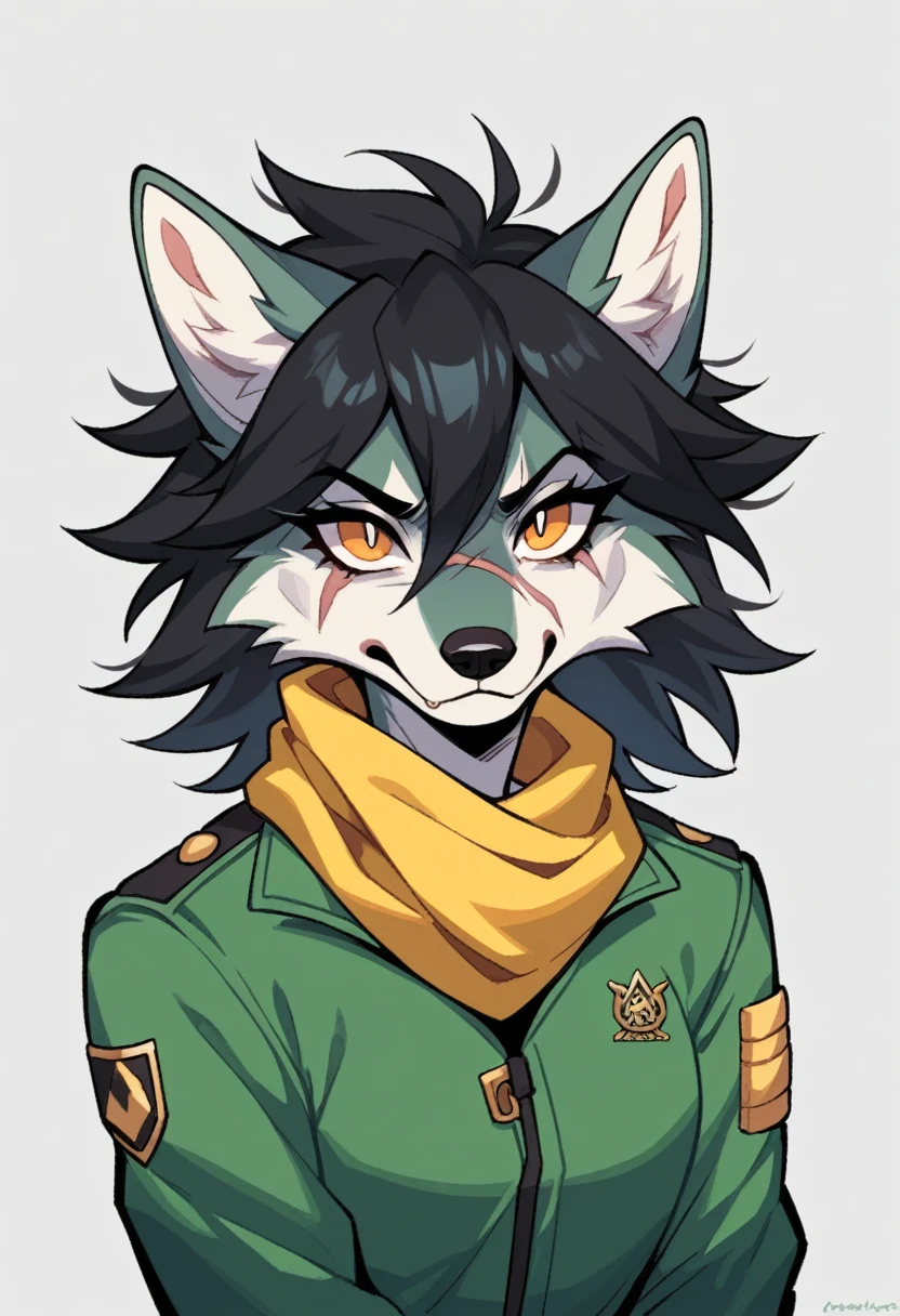 solo female,Furry,wolf,∆iden has long black hair, accessorized with a fluffy beige ushanka atop her head. She sports a green and yellow scarf, accompanied by an army green coat. A large scar appears by her right eye. It also appears she has two upward oval pointing wide eyes with her pupils being lines. Her mouth is always the same. As with her ushanka, it appears there’s a triangle crossed by two lines on it.