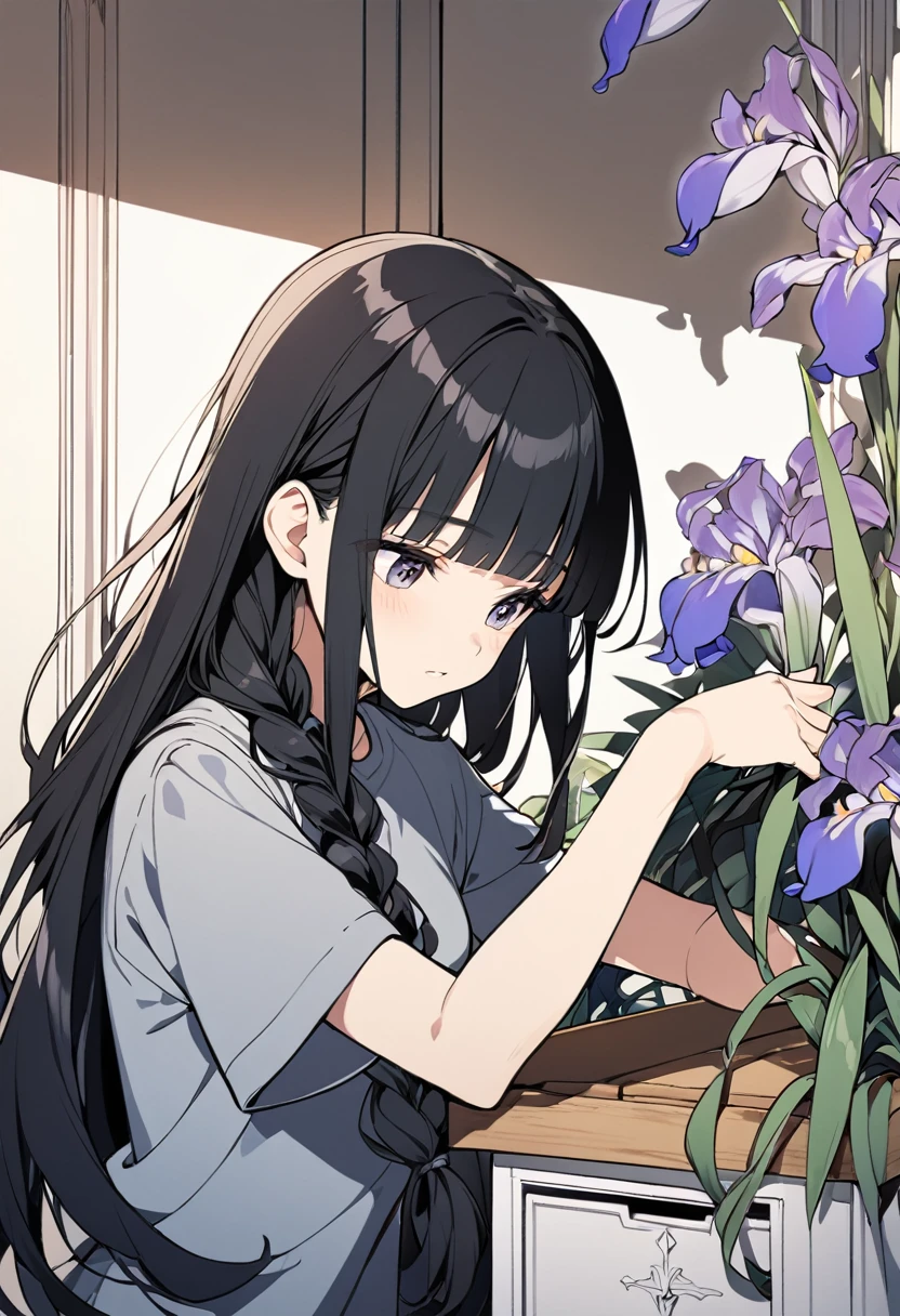 One girl, alone, Long Hair, bangs, shirt, Black Hair, Have, Upper Body, Braiding, Short sleeve, blunt bangs, Iris, Letterbox, Anime Coloring