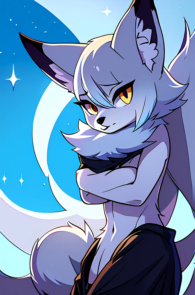 arctic fox male, solo