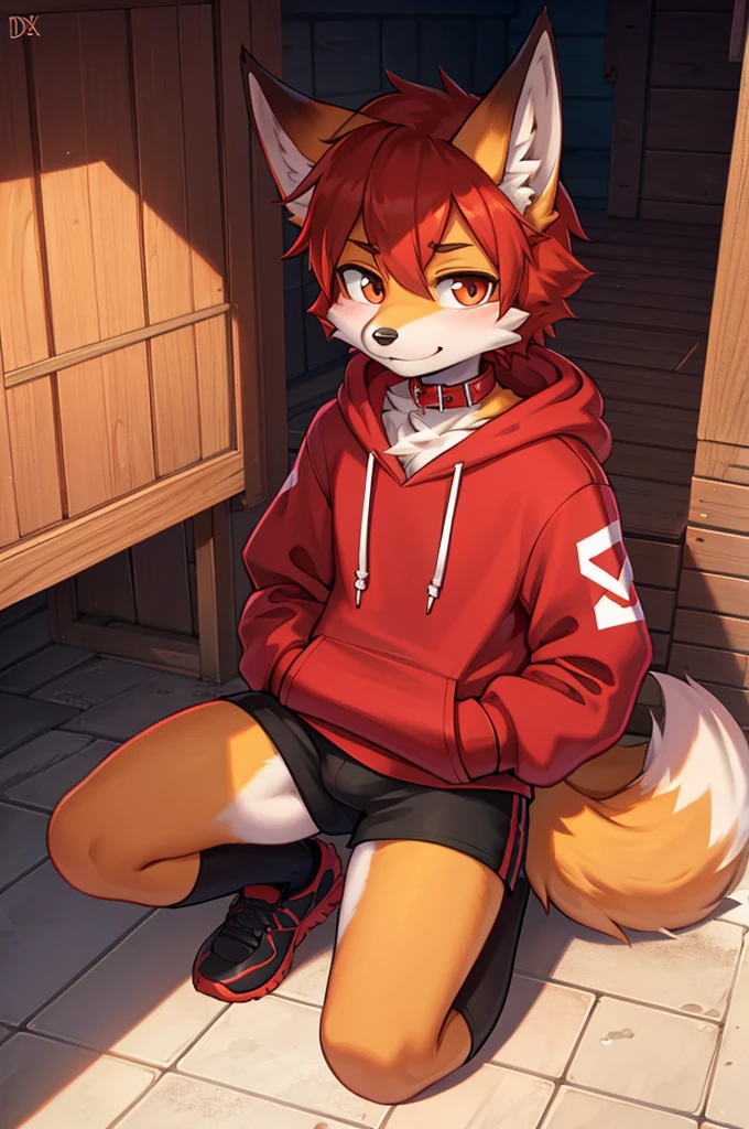 fox boy,Red collar,4K resolution,Hoodie outfit Streetwear,doghouse