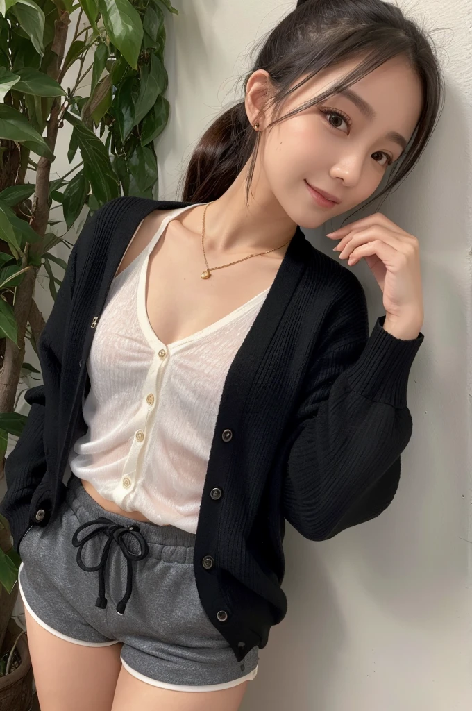 (Highest quality, 8k, masterpiece: 1.3)), concentrated: 1.2, Perfect Body Beauty: 1.4, ((ponytail,Small breasts : 1.2)), (Park lawn :1.3), (See-through cardigan,Shorts: 1.3) ,valley, A shy smile,Highly detailed face and skin texture, Simple Necklace, (Beautiful, clear black eyes:1.3), double eyelid ,White skin, medium brown color hair, golden ratio, (shut up: 1.3),