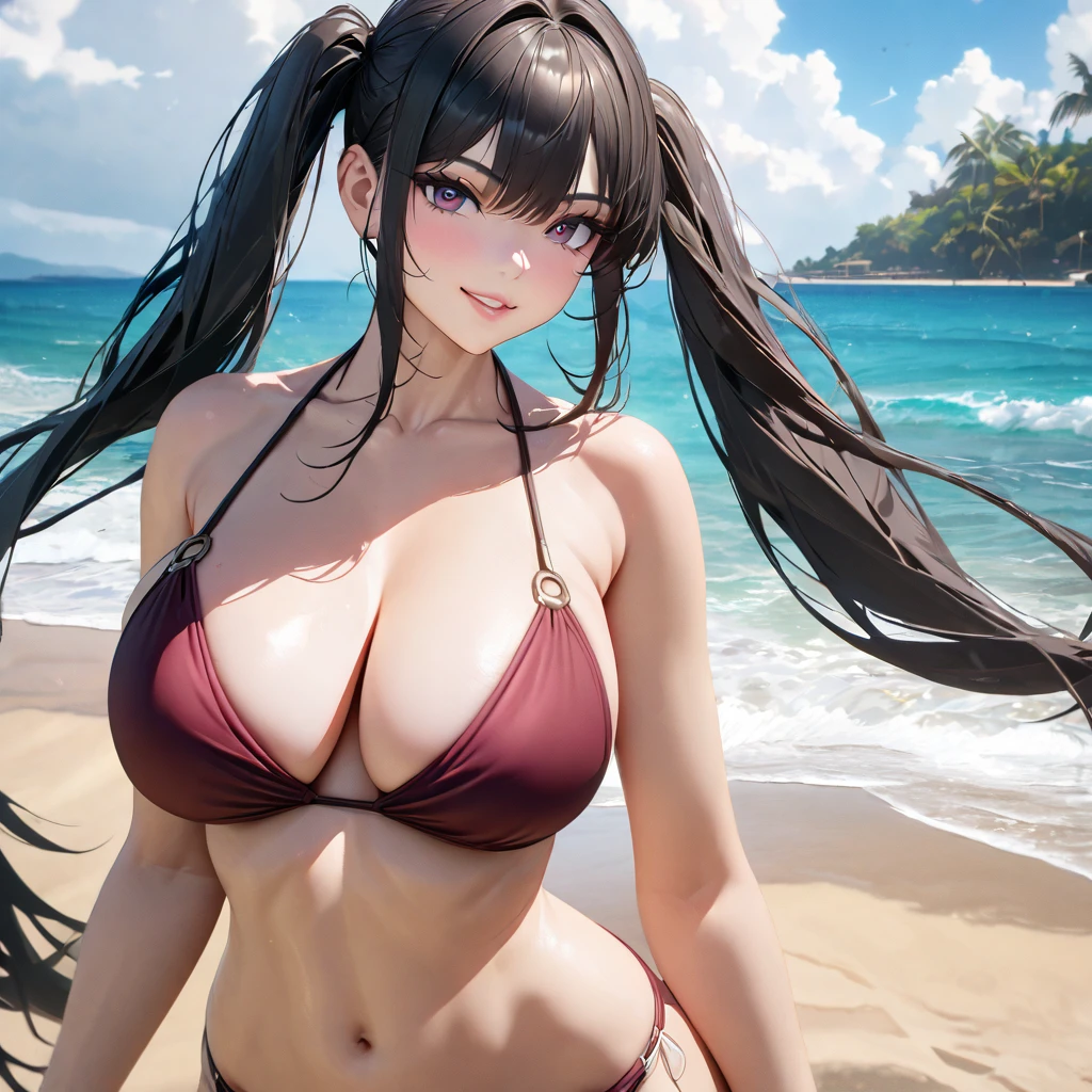 A woman wearing a burgundy beach bikini, burgundy eyes, black hair, long hair, pigtails, big breasts, smiling, standing on the beach sand, coconut tree close up, wide view of the sea, rough sea, blue sky with clouds, daytime location, perfect lips, perfect eyes,,(solo woman) ,UHD , prime work , accurate , anatomically correct , textured skin , super details , high quality , best quality, 8k, high resolution, bokeh effect, 
