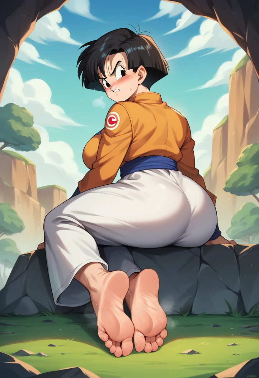 Best Quality, Masterpiece, ultra high resolution, sharpness, a woman, beautiful, (styled dragon ball z), Long black hair tousled, black eyes , big breasts, angry look, blush, battle suit Sayayin, whole body, sitting on a stone, head on, Feet apart, barefoot, pies barefoots, soles of feet visible, feet sweating and steaming, well-shaped and defined full body, sitting on a stone , medium rear, dry trees in the background, Dry land, View from below, monkey&#39;s tail 