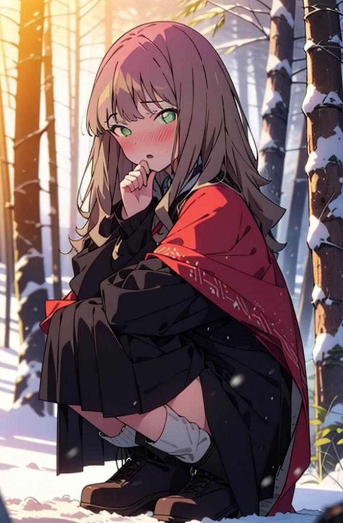 minami yume ,sss Dynazenon ,Long Hair, Brown Hair, (Green Eyes:1.5) ,blush,white breath,
Open your mouth,snow,Ground bonfire, Outdoor, boots, snowing, From the side, wood, suitcase, Cape, Blurred, forest, White handbag, nature,  Squat, Mouth closed, Cape, winter, Written boundary depth, Black shoes, red Cape break looking at viewer, Upper Body, whole body, break Outdoor, forest, nature, break (masterpiece:1.2), Highest quality, High resolution, unity 8k wallpaper, (shape:0.8), (Beautiful and beautiful eyes:1.6), Highly detailed face, Perfect lighting, Extremely detailed CG, (Perfect hands, Perfect Anatomy),