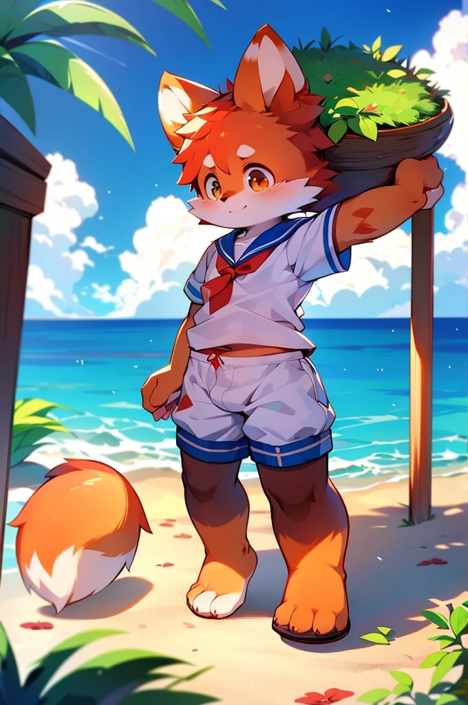 A boy red panda and two foxes,8k resolution,Furry, Ocean,Sailor uniform,Red collar,Two legs,Stand on your feet!