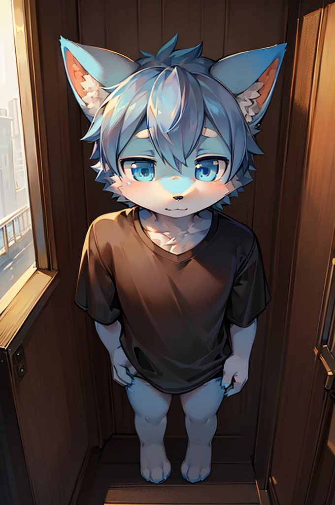 Normal scenario (Furry light blue fox boy), Standing,Facing the camera, ((Melancholy, Detailed face, Clear big eyes,blue eyes,Meticulous attention to detail)), Natural and soft lighting, 8K, SF Express, Autumn Light , peaceful , (Fluffy Paws), Front view,Wearing a shirt