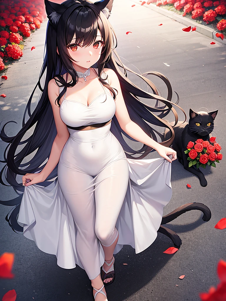 black haired anime woman with cat ears wearing a white dress walking on a path of red roses with an evening sky