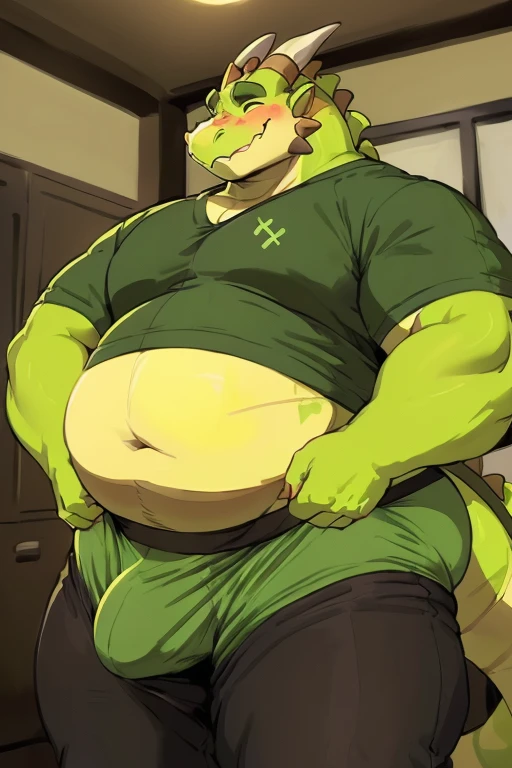 (best quality), (detailed), ((adultish, widened, thickened, overweight, pudgy, bulky, dad body:1.2)), (((chubby face handles and chin))) (((thick thighs:1.3))) ((((big belly:1.3)))) (((green colored masculine dragon))) (((plain shirt))) ((underwears:1.2)) ((bulge size:1.15)) ((bulging)) (smirk) (shy and excited) (closed eyes), (love marks expressions symbol)