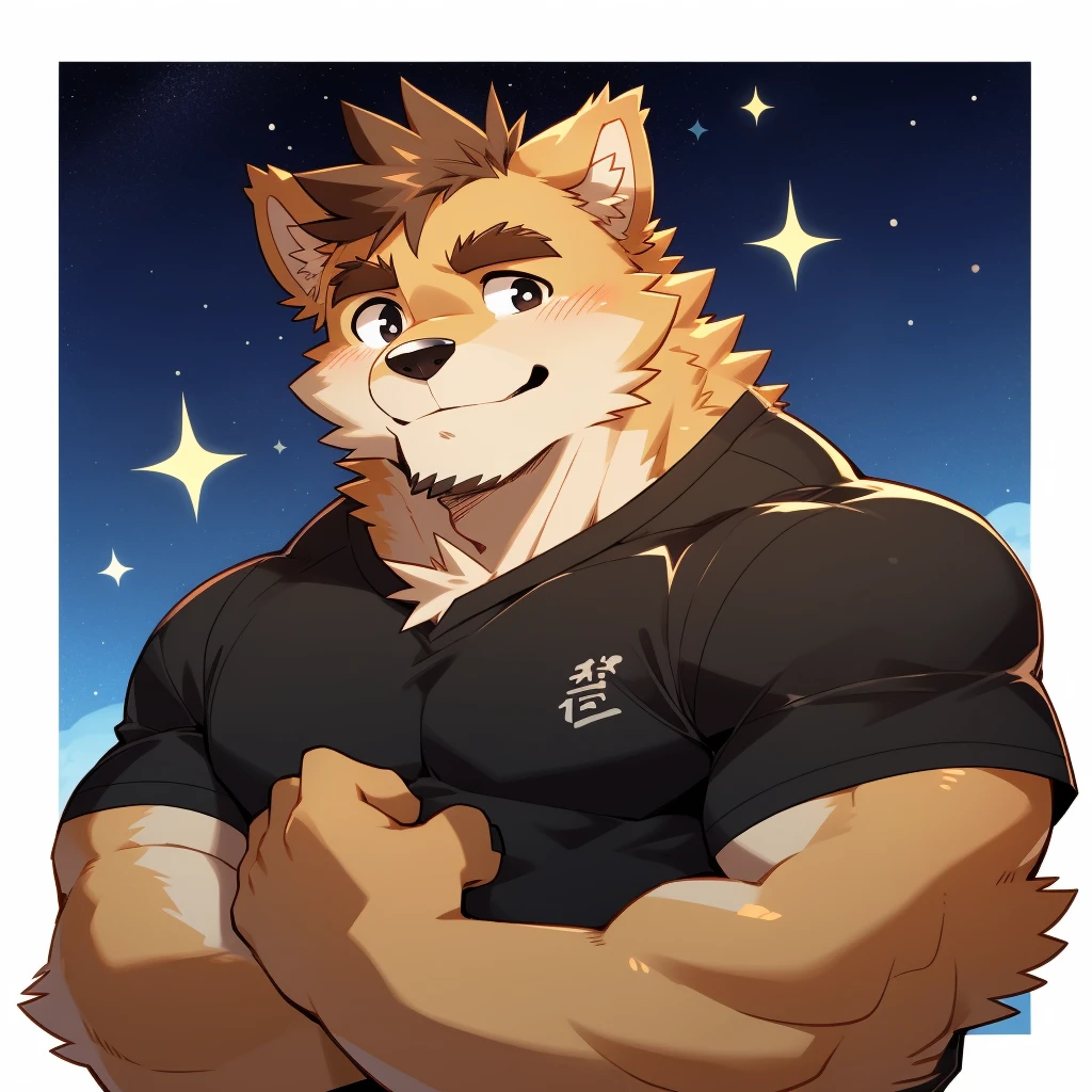 Scribble 德国牧羊dog face,Humanity(dog),(Black short sleeve:1.3),Muscular,(Brown eyebrows:1.1),(Close one eye:1.2),(Perfect black eyes),Starry Sky,Black fur,giggle,(artist:Takemoto Arashi)