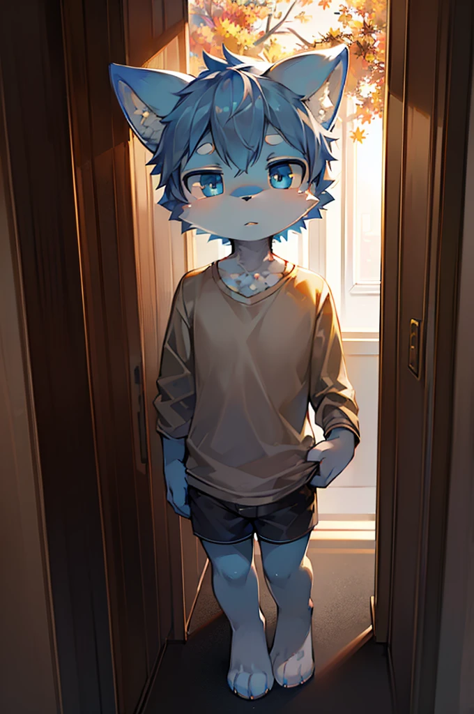 Normal scenario (Furry light blue fox boy), Standing，Facing the camera， ((Melancholy， Detailed face, Clear big eyes，blue eyes，Meticulous attention to detail)), Natural and soft lighting, 8K, SF Express, Autumn Light , peaceful , (Fluffy Paws), Front view，Wearing a shirt