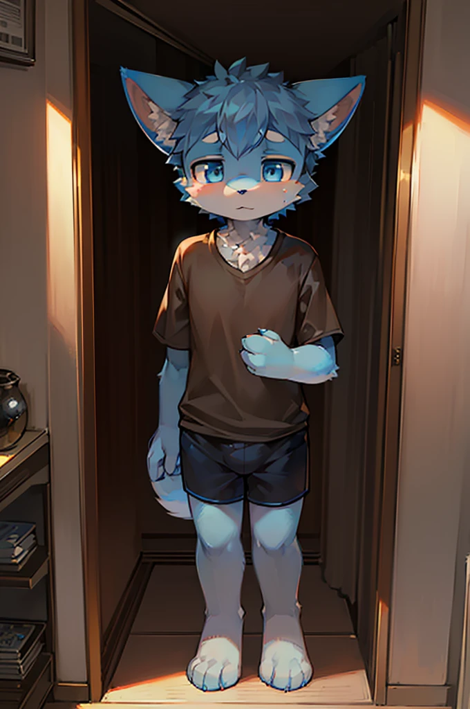 Normal scenario (Furry light blue fox boy), Standing,Facing the camera, ((Melancholy, Detailed face, Clear big eyes,blue eyes,Meticulous attention to detail)), Natural and soft lighting, 8K, SF Express, Autumn Light , peaceful , (Fluffy Paws), Front view,Wearing a shirt