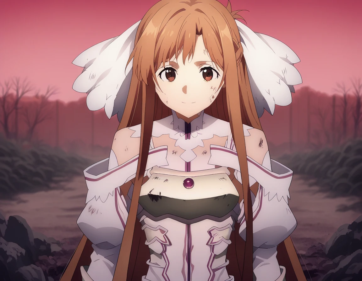 score_9, score_8_superior, score_7_superior, sauce_anime,
asunayuuki, As Yuuki, Long Hair, bangs, Brown Hair, Brown eyes, very Long Hair, Braiding,
dress, Exposing shoulders, Removable sleeves, white dress, armor, breastplate, white armor,
Outdoor, wasteland, I had already finished, smile,
alone, View your viewers, After being violated,Semen overflows from the genitals
