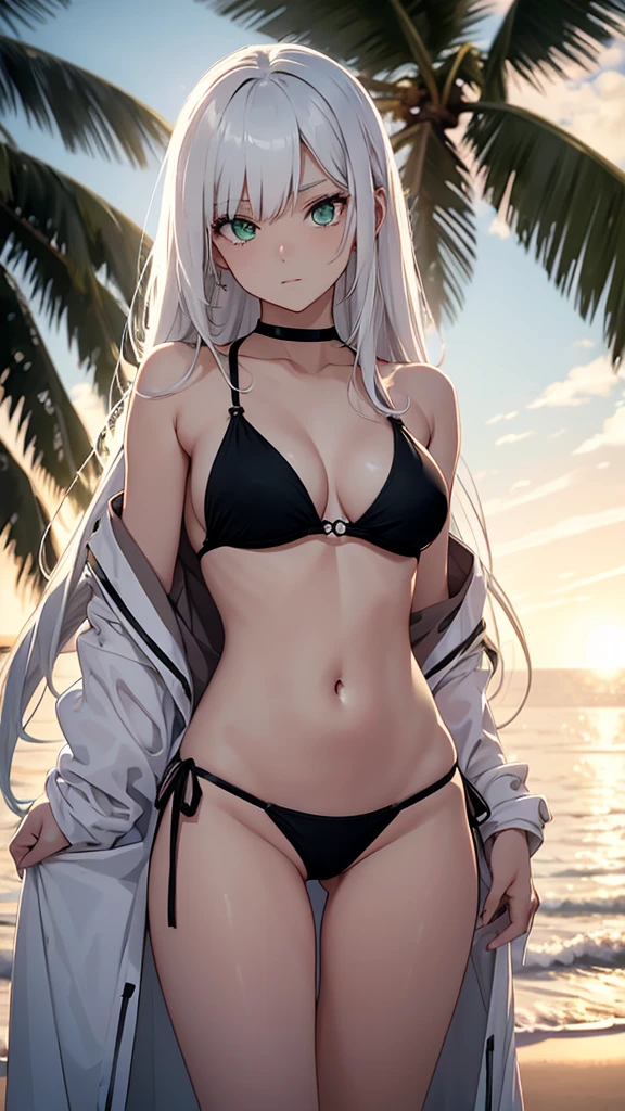 ```
/imagine prompt: A beautiful 21-year-old anime girl with green eyes and white hair lies on the beach at dusk, wearing a black bikini as she gazes toward the setting sun, Nikon D850 capturing her relaxed pose, 50mm lens captures her serene expression against the scenic backdrop, --style raw --ar 16:9 --stylize 100 --weird 800 --quality 25 --niji
```