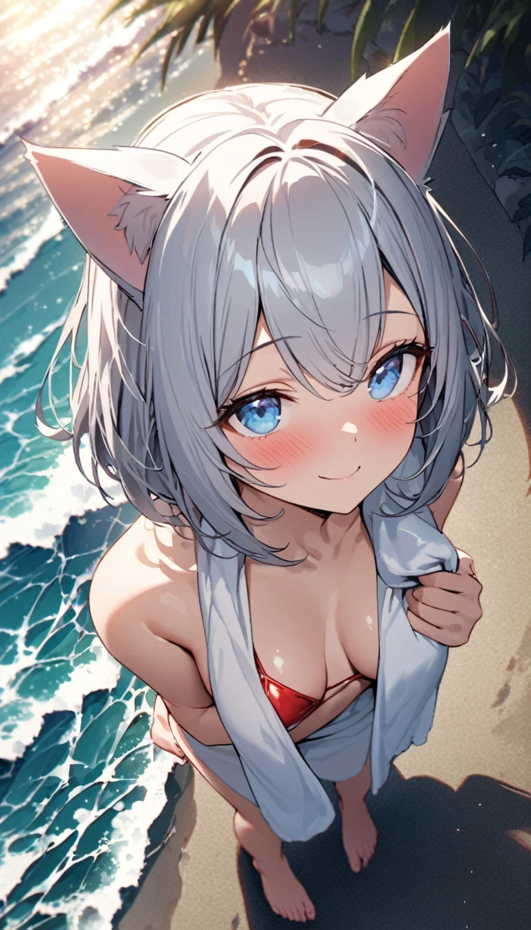 (((best quality)), ((masterpiece)), (details), masterpiece, best quality, high quality, ulutra detailed, perfect face, ((1girl, Blue eyes, cat ears: 1.3 silver bob hair: 2.5,)) 、Shiny Hair、Glowing Skin、blush、Lustful look、Side Angle、Ocean岸、Ocean、evening、Shore、View here、Red Micro Bikini、Wipe your head with a towel、barefoot、smile、Look up here
