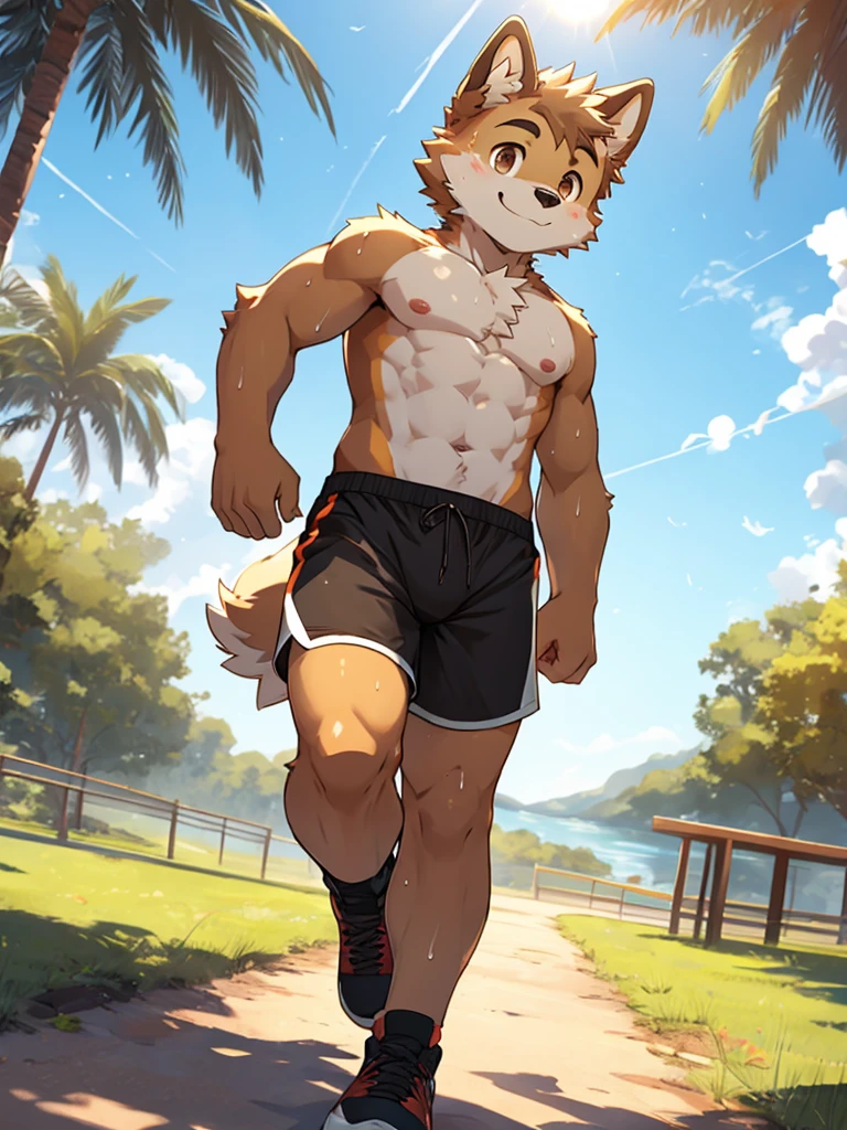 (Maximum Fineness, Dynamic HDR, 8K, FULL HD). Furry, solo, Outdoor, Sports Training ,sunny, happy, Shota, cute, boy, A wolf with white fur and Grey on its body, blue eyes, black eyebrows, without clothes , Grey nipples,pubes black, tail big, Wear exercise shorts, There is clearly sweat on the body, The crotch of the pants is clearly bulging, Smiling faces