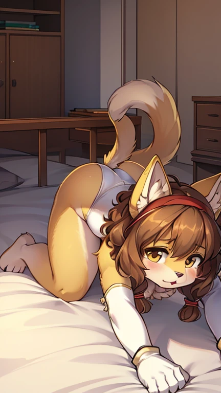 best quality, best resolution, (fluffy anthro furry), golden retriever girl, brown hair, curly hair, dog easr, (light yellow fur), medium , thick thighs, (white leotard, giant cat gloves, headband with cat ears), bedroom, crawling on all fours