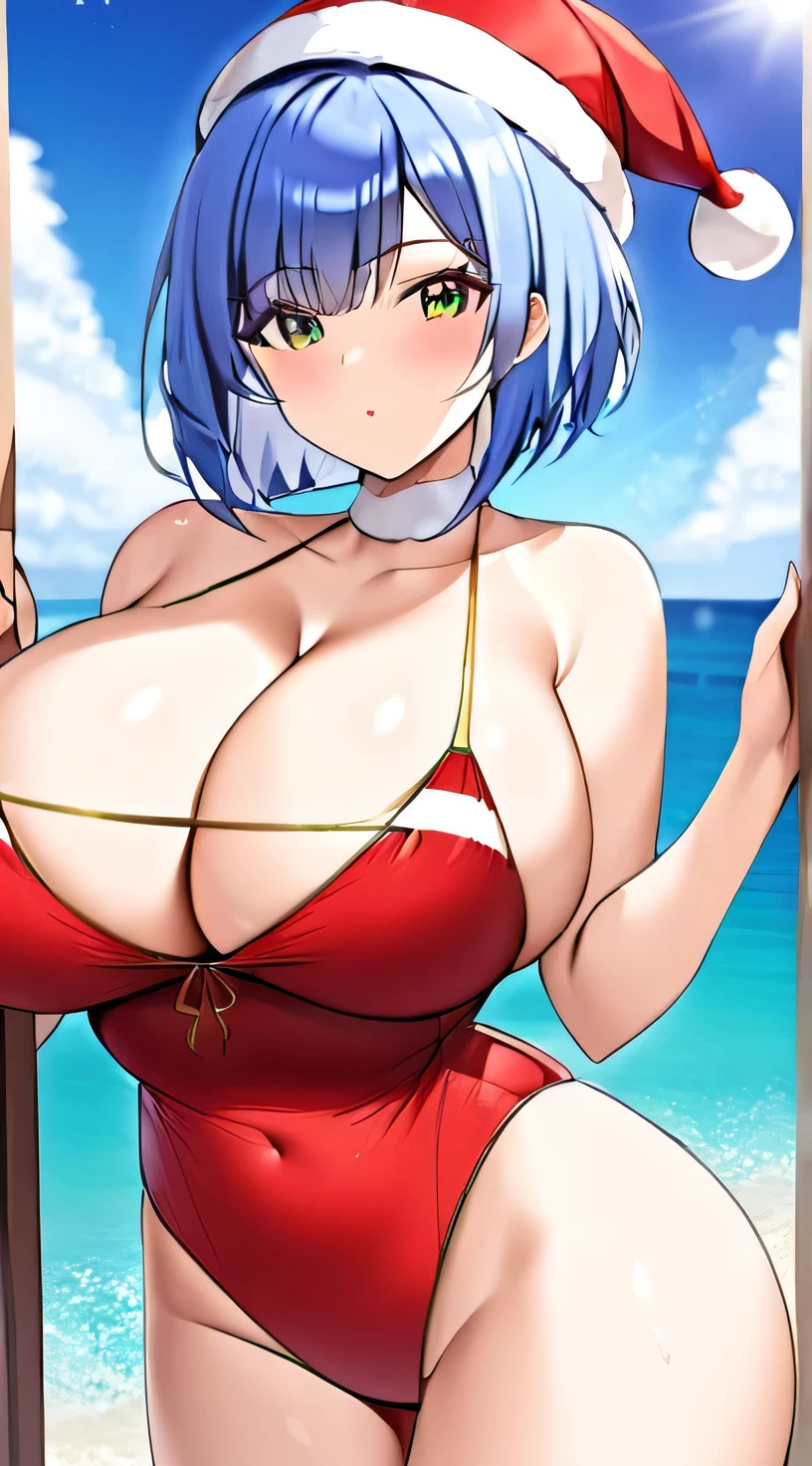 Santa,Swimwear,Big Breasts,Super Breasts,Blue Hair,Bobcut