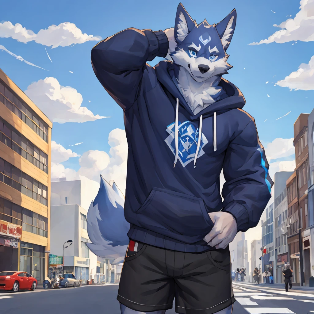 Muscular body, Deep black fur, Standing on the street, Snack Street Background,head tilted to one side,Beautiful blue sky and white clouds，People coming and going , Wearing a gray sweatshirt, Wolf furry character