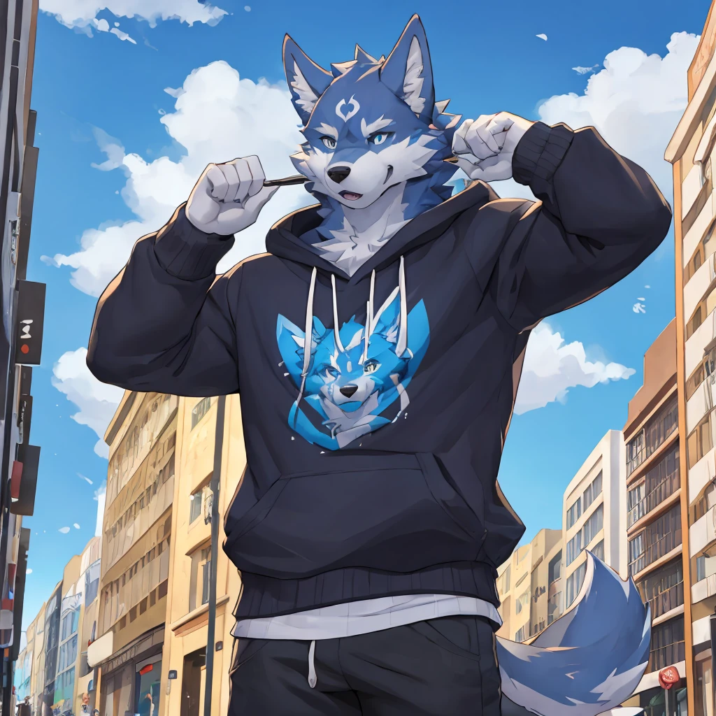 Muscular body, Deep black fur, Standing on the street, Snack Street Background,head tilted to one side,Beautiful blue sky and white clouds,People coming and going , Wearing a gray sweatshirt, Wolf furry character