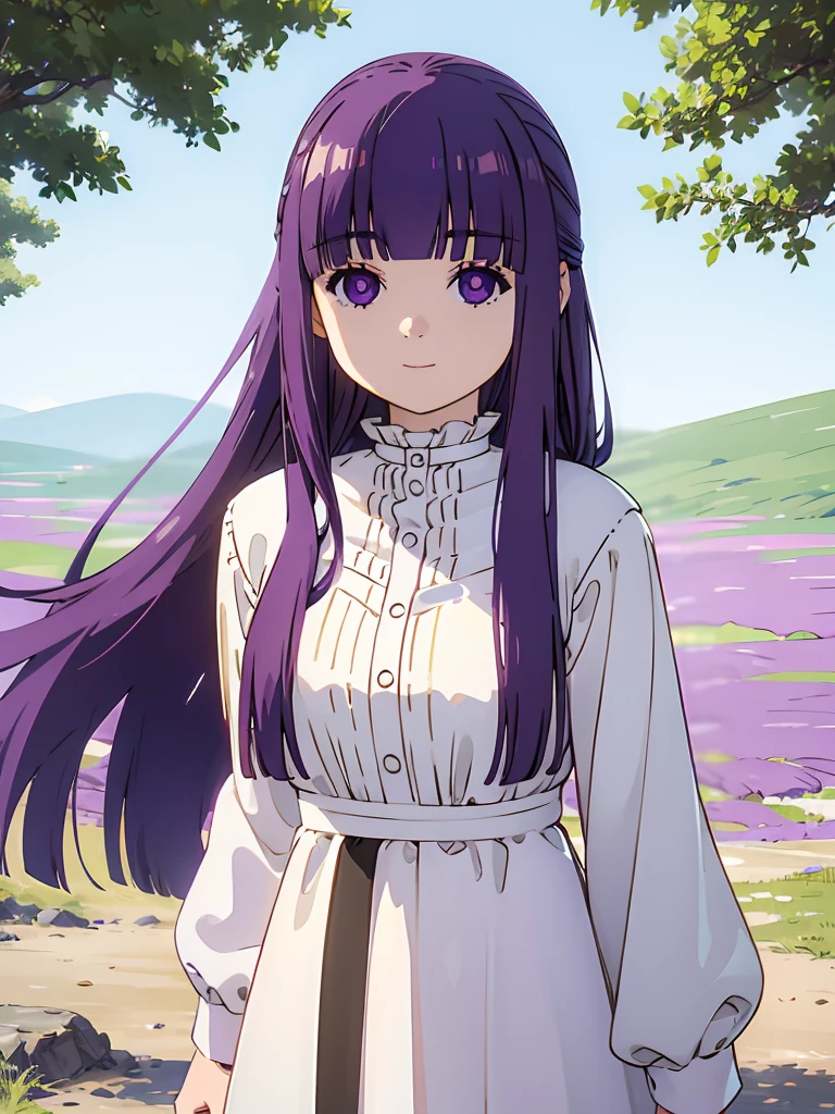 (FBJE_Fern), 1girl, solo, purple eyes, purple hair, long hair, bangs, blunt bangs, elegant, half updo, white ruffled dress, grassland, (Cowboy shot:0.7), looking at viewer, smile,(masterpiece:1.0),(best_quality:1.0), ultra high res,4K,ultra-detailed, photography, 8K, HDR, highres
