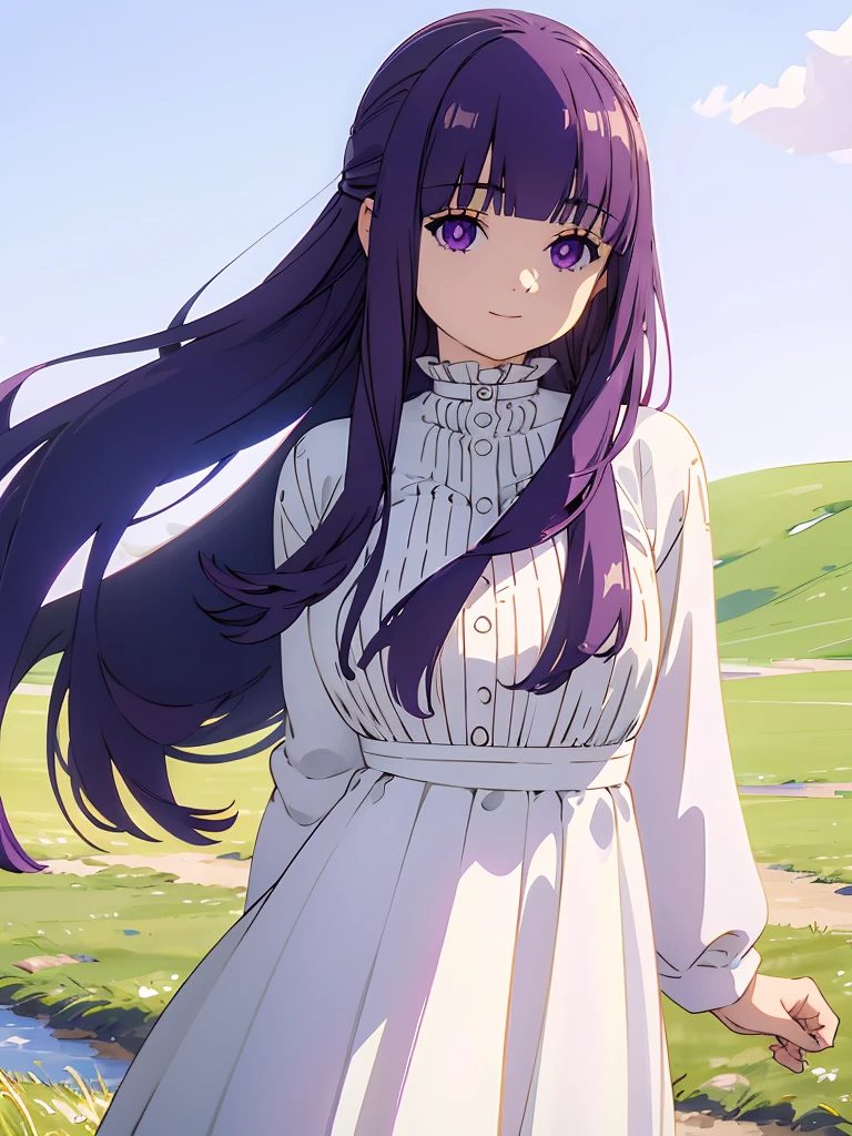 (FBJE_Fern), 1girl, solo, purple eyes, purple hair, long hair, bangs, blunt bangs, elegant, half updo, white ruffled dress, grassland, (Cowboy shot:0.7), looking at viewer, smile,(masterpiece:1.0),(best_quality:1.0), ultra high res,4K,ultra-detailed, photography, 8K, HDR, highres