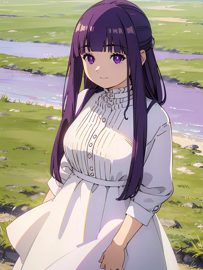 (FBJE_Fern), 1girl, solo, purple eyes, purple hair, long hair, bangs, blunt bangs, elegant, half updo, white ruffled dress, grassland, (Cowboy shot:0.7), looking at viewer, smile,(masterpiece:1.0),(best_quality:1.0), ultra high res,4K,ultra-detailed, photography, 8K, HDR, highres