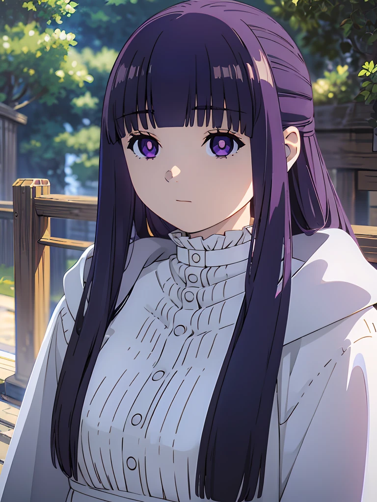 ((masterpiece)),(best quality),official art,extremely delicate and beautiful,extremely detailed CG,unity 8k wallpaper,ultra detailed,beautiful detailed eyes,extremely detailed face,outdoors,1girl,solo,upper body,(portrait:1.5),looking at viewer,facing viewer,expressionless,long hair,purple hair,straight hair,half updo,hime cut,sidelocks,blunt bangs,purple eyes,bright pupils,white pupils,hooded robe,hood down,black robe,white shirt,frills,buttons,long sleeves,medium breasts,long skirt,white skirt,black boots,