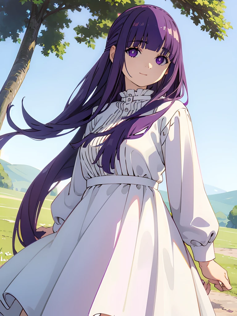(FBJE_Fern), 1girl, solo, purple eyes, purple hair, long hair, bangs, blunt bangs, elegant, half updo, white ruffled dress, grassland, (Cowboy shot:0.7), looking at viewer, smile,