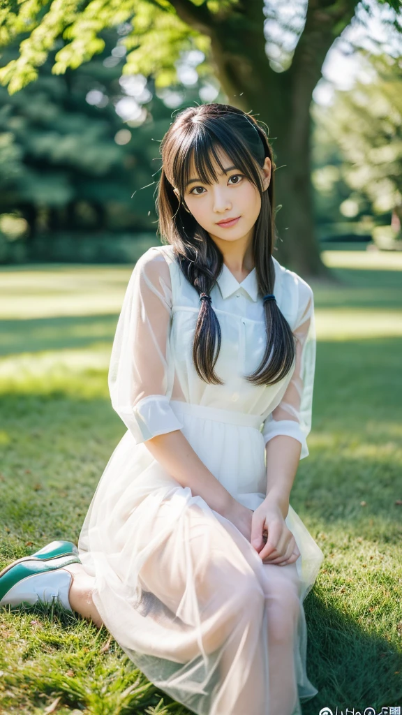 (((masterpiece))), (((Highest quality: 1.4))), ((Very detailedな: 1.4)) , Urzan-6500-v1.1, (RAW Photos:1.2), (Realistic), (See through:1.3), (masterpiece), (Genuine:1.4), Very detailed, Sharp focus, Japanese girl sitting on the grass in the park, Sit knee-to-knee、Sit in one&#39;s尻、Holding my knees、Young and cute gravure idol, (Ultra-realistic pantyhose), Chiho, Beautiful face with arms and legs, realistic Young Gravure Idol, Yoshitomo Nara, Young Japanese Girl, Young Gravure Idol, Young Sensual Gravure Idol, Young and thin gravure idol, Cute young woman