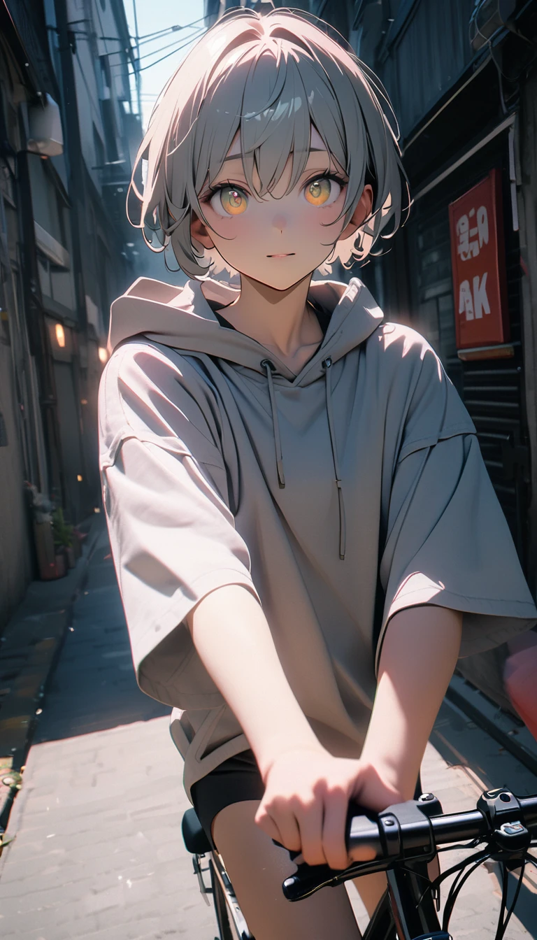 (8k, RAW Photos, Highest quality, masterpiece: 1.4), (((Boy on a bicycle))),Ultra-high resolution, Very detailed, Light, Arm close-up, Handsome boy, Iris, (Delicate eyes, Shining eyes:1.2), Grey Short Hair, Fair skin,dark, Grey sweatshirt, Hooded sweatshirt,(Perfect Anatomy:1.2), High Quality Shadows, Natural light, (White highLights:1.2), night, cloudy day, (alley:1.2), (river bridge:1.2)