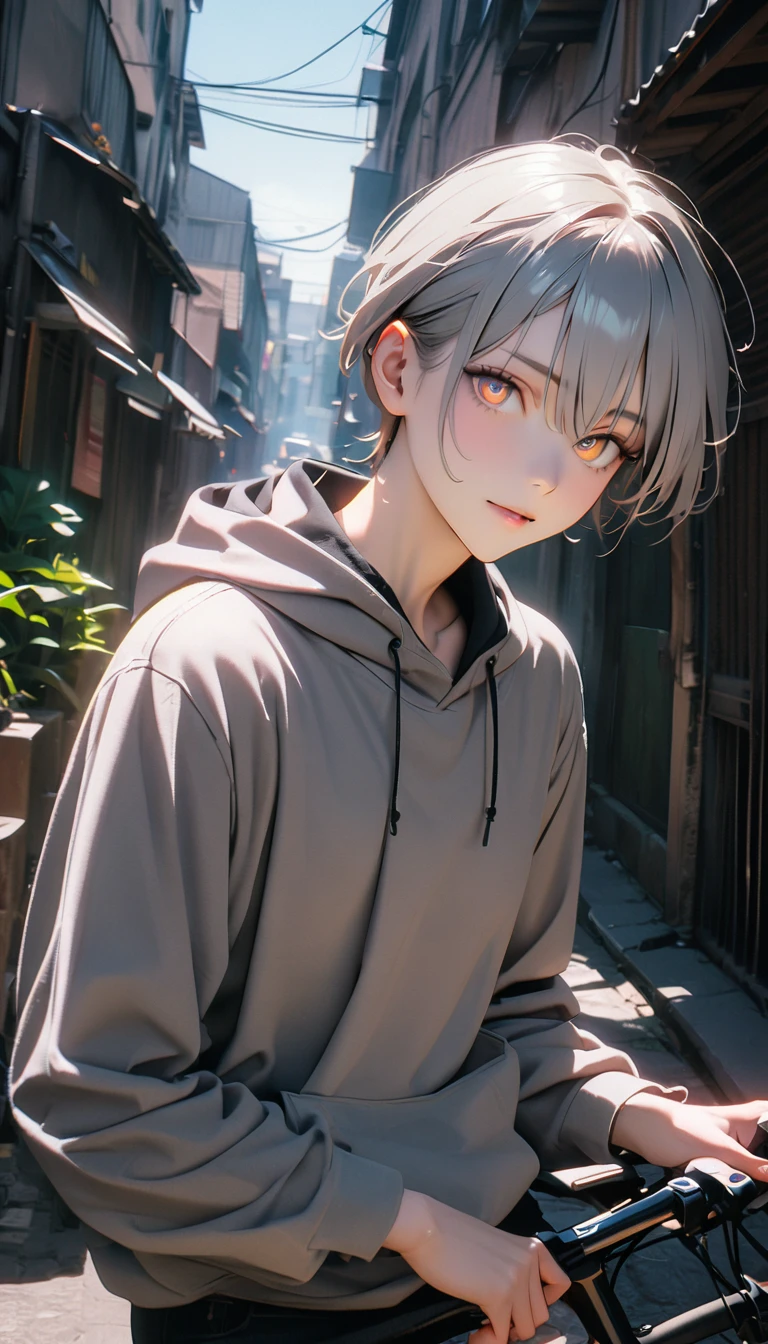 (8k, RAW Photos, Highest quality, masterpiece: 1.4), (((Boy on a bicycle))),Ultra-high resolution, Very detailed, Light, Arm close-up, Handsome boy, Iris, (Delicate eyes, Shining eyes:1.2), Grey Short Hair, Fair skin,dark, Grey sweatshirt, Hooded sweatshirt,(Perfect Anatomy:1.2), High Quality Shadows, Natural light, (White highLights:1.2), night, cloudy day, (alley:1.2), (river bridge:1.2)