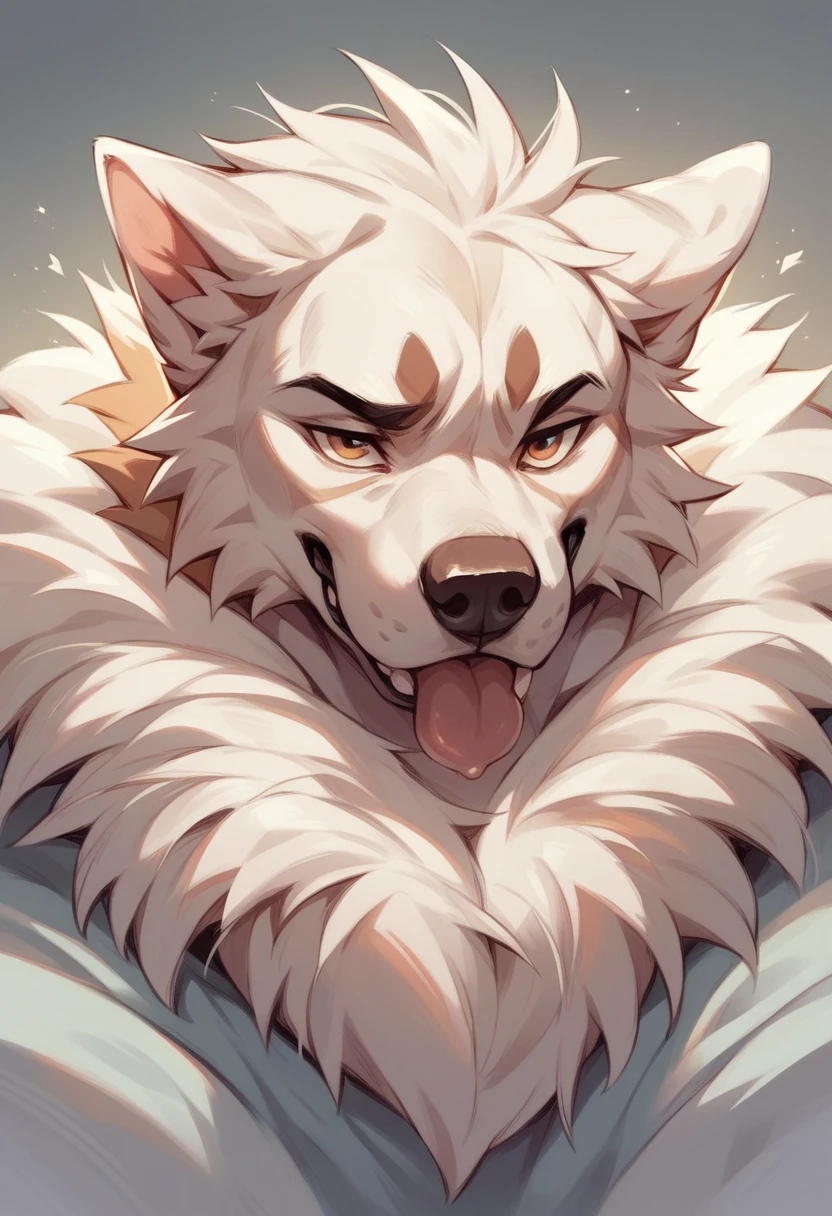 animal dog