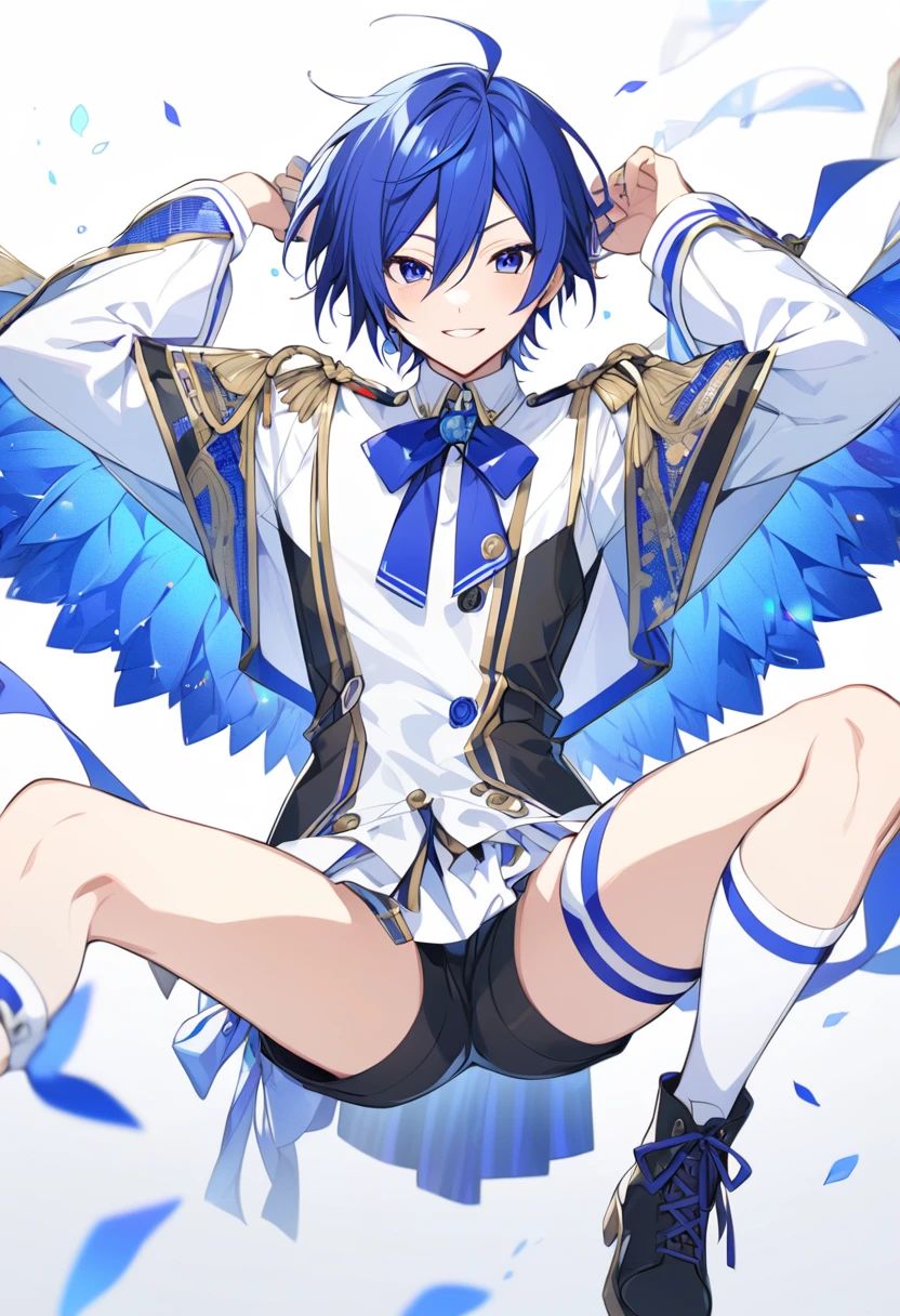 VOCALOID KAITO