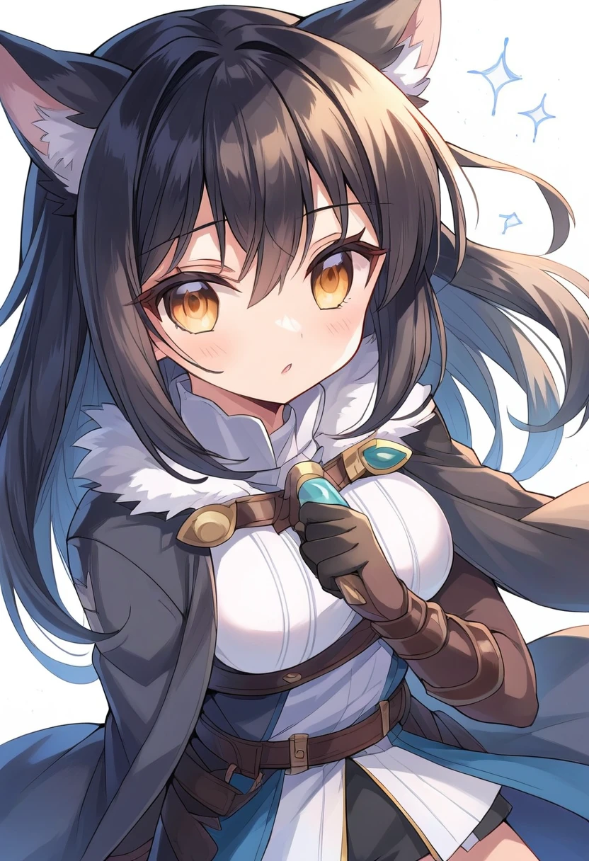 masterpiece, best quality, extremely detailed,anime, Wolf girl, black hair, long hair, black wolf ears, ((silver earrings on wolf ears)), leather armor, holding a knife, fast movement,