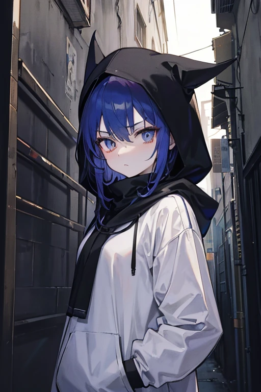 Hoodie that covers the neck、neck warmer、Looking up at a person from below、Dark Back Alley、Holding a metal bat in your hand、pupils are constricted、Sharp Eyes、A look of contempt、Sharp Eyes、An underground atmosphere