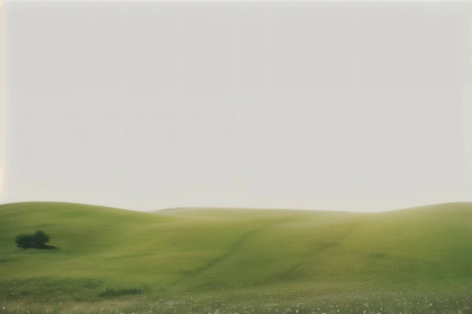 grassland with white dots in the middle of it, grassland, grassland surrounding the city, Rice field background, grassland景观, grassland, in a large grassy Green fields, grassland, Fields full of flowers and grass, Green fields, grasslands, Green fieldss in the background, 绿色grassland, Flower field background, tall acid green grassland, Lush fields
