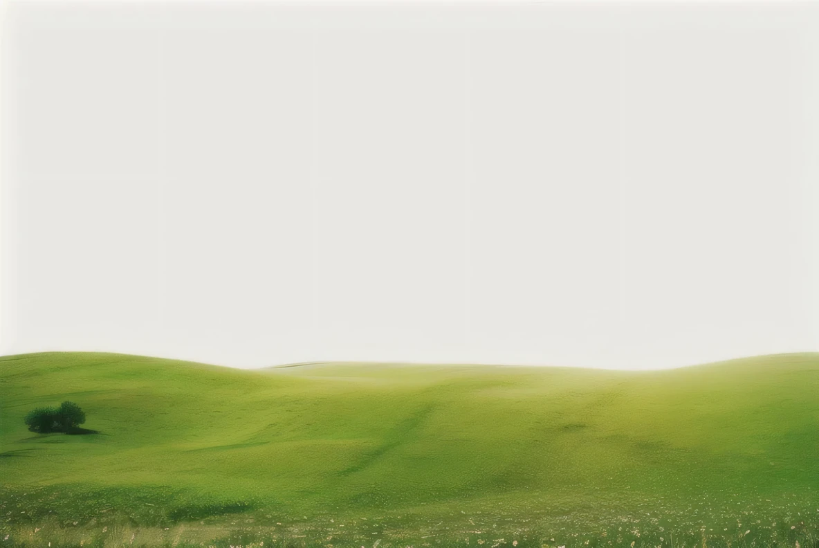 grassland with white dots in the middle of it, grassland, grassland surrounding the city, Rice field background, grasslandlandscape, grassland, in a large grassy Green fields, grassland, Fields full of flowers and grass, Green fields, grasslands, Green fieldss in the background, Green grassland, Flower field background, tall acid green grassland, Lush fields