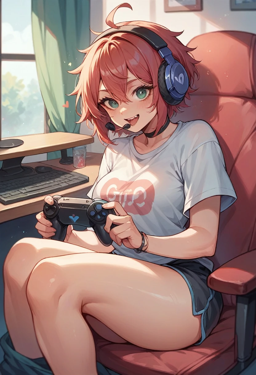 Switch controller only