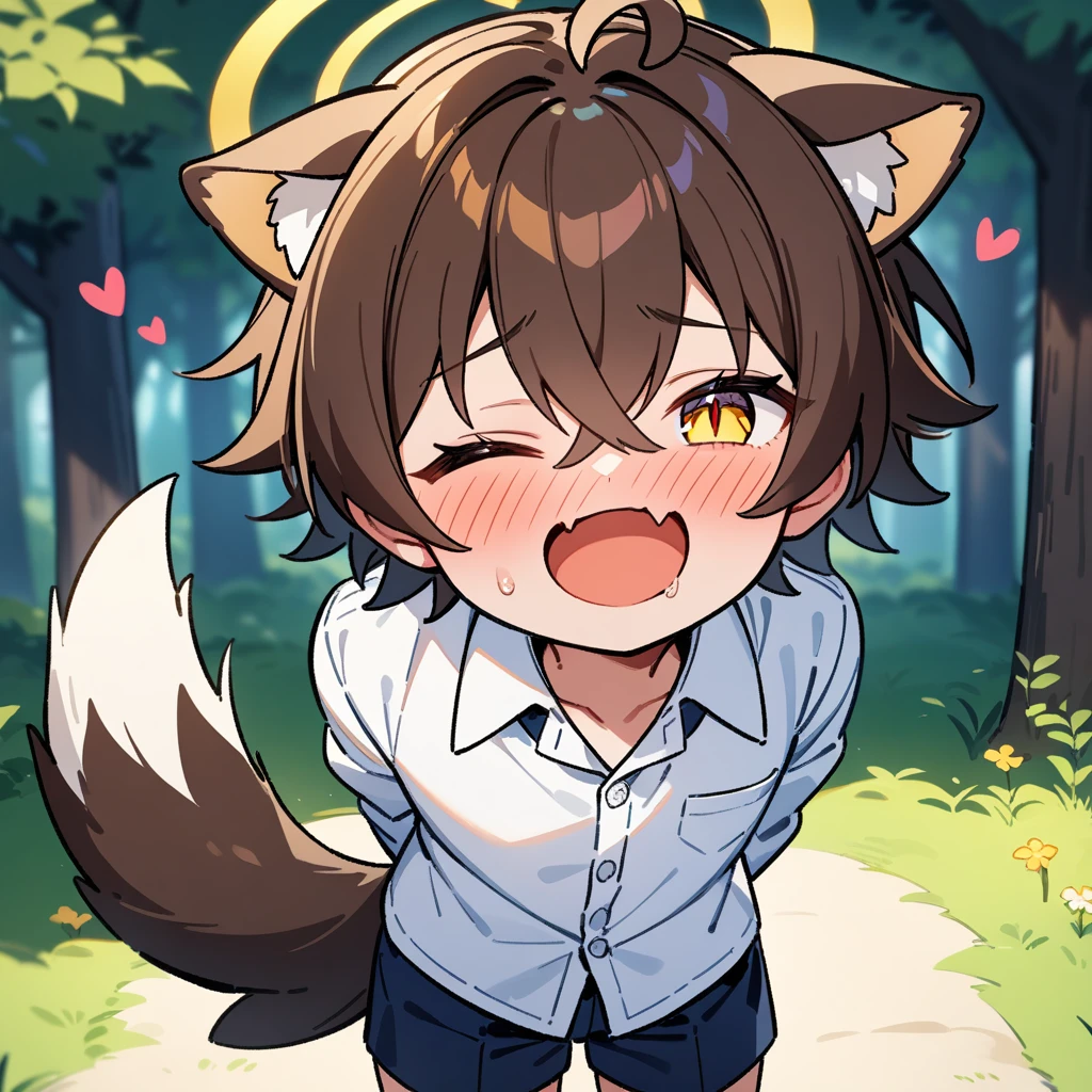 （masterpiece：1.2，high quality），4K，High resolution，A seven-year-old boy，cute boy， brown hair，short hair，crossed bangs，yellow eyes，slit pupils，one eye closed，heart ahoge，yellow halo，cat ears，full-face blush，laughing，skin fang，saliva，Wearing a white shirt，dark blue shorts，Stand in the forest，There are flowering trees on both sides.，primary school student，thigh，alone，dog tail，((Hands behind your back))